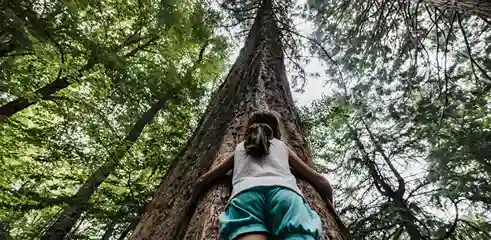 Femme qui fait un câlin à un arbre